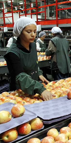 Sumagestion Asesoría Contable