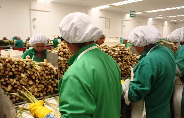 Sumagestion Limitada